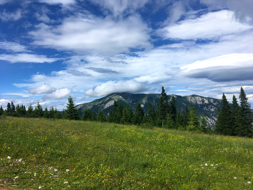 Parę słów o Wiener Hauseberge