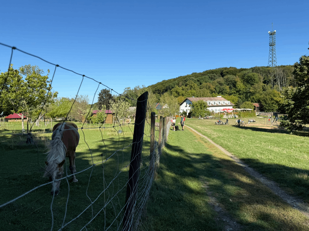 Cobenzl-Jägerwiese-Hermannskogel - najwyższy punkt Wiednia