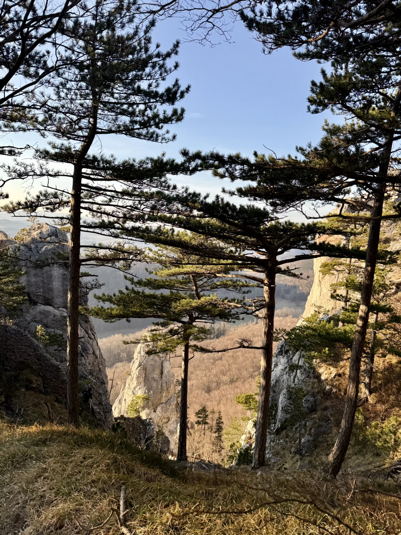 Peilstein: alpejski poligon godzinę od Wiednia