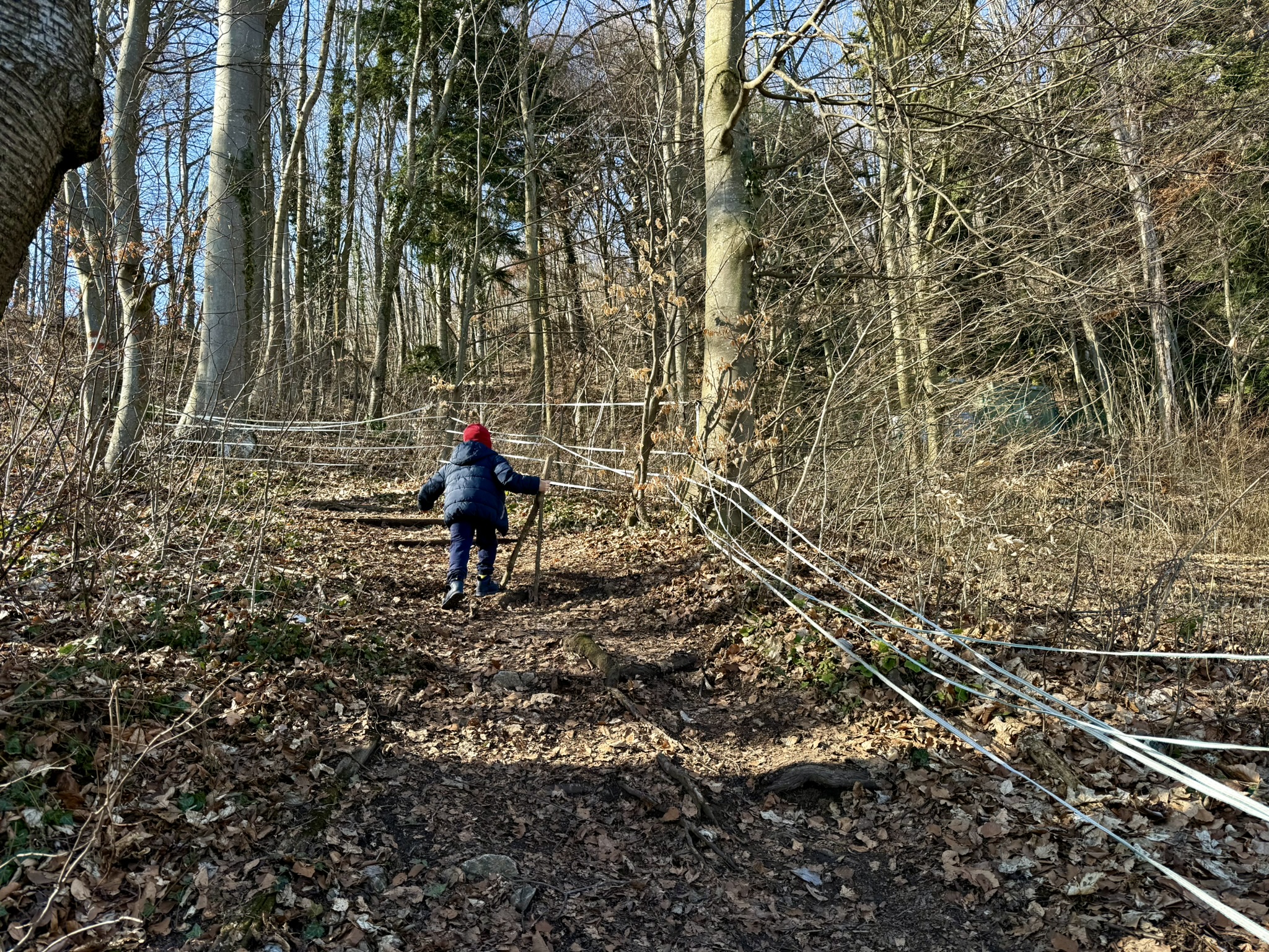 Peilstein: alpejski poligon godzinę od Wiednia