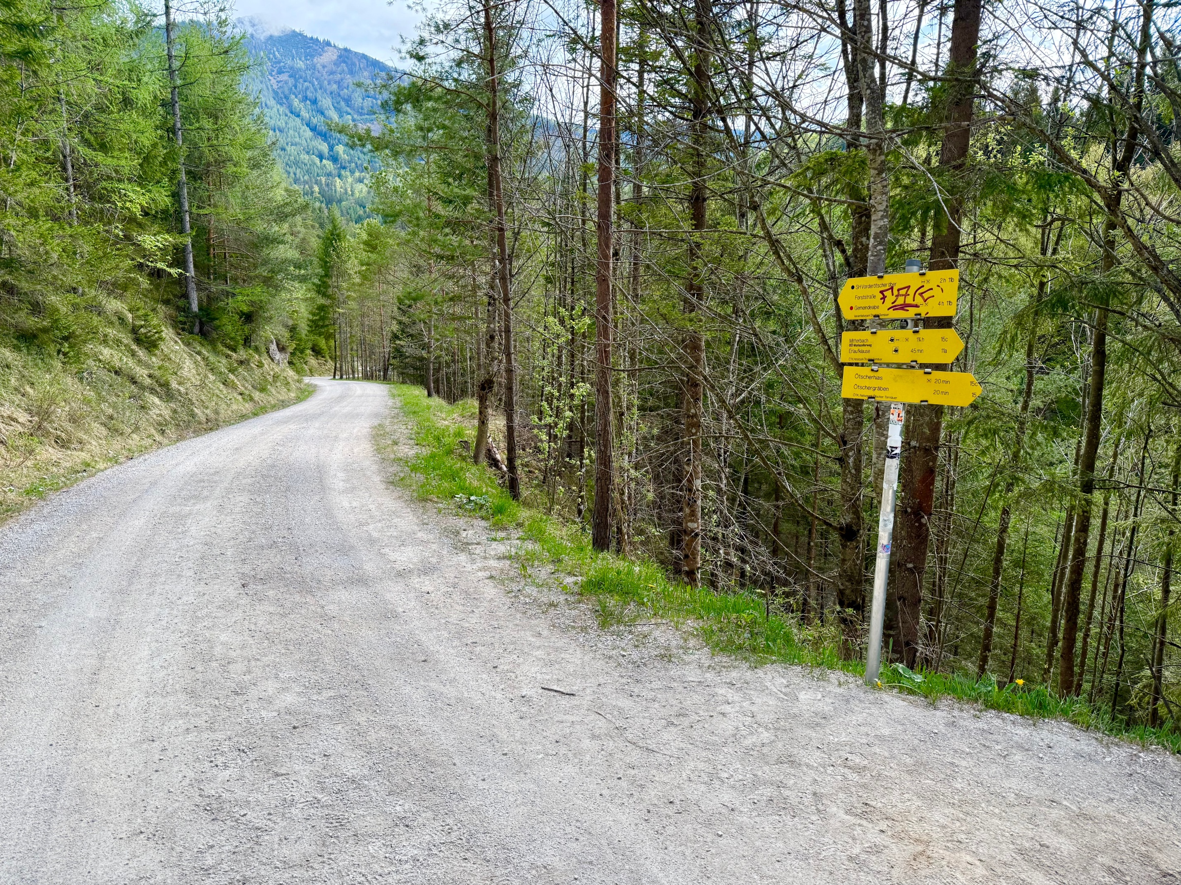 Wielki Kanion Austrii dla całej rodziny.