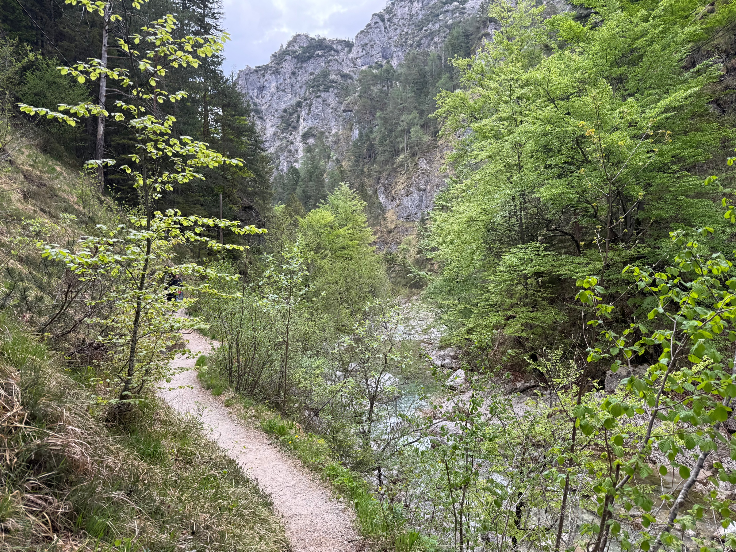 Wielki Kanion Austrii dla całej rodziny.